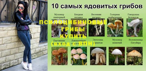 крисы Богородицк